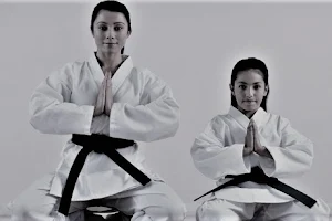 World Martial Arts Academy-SoCo image