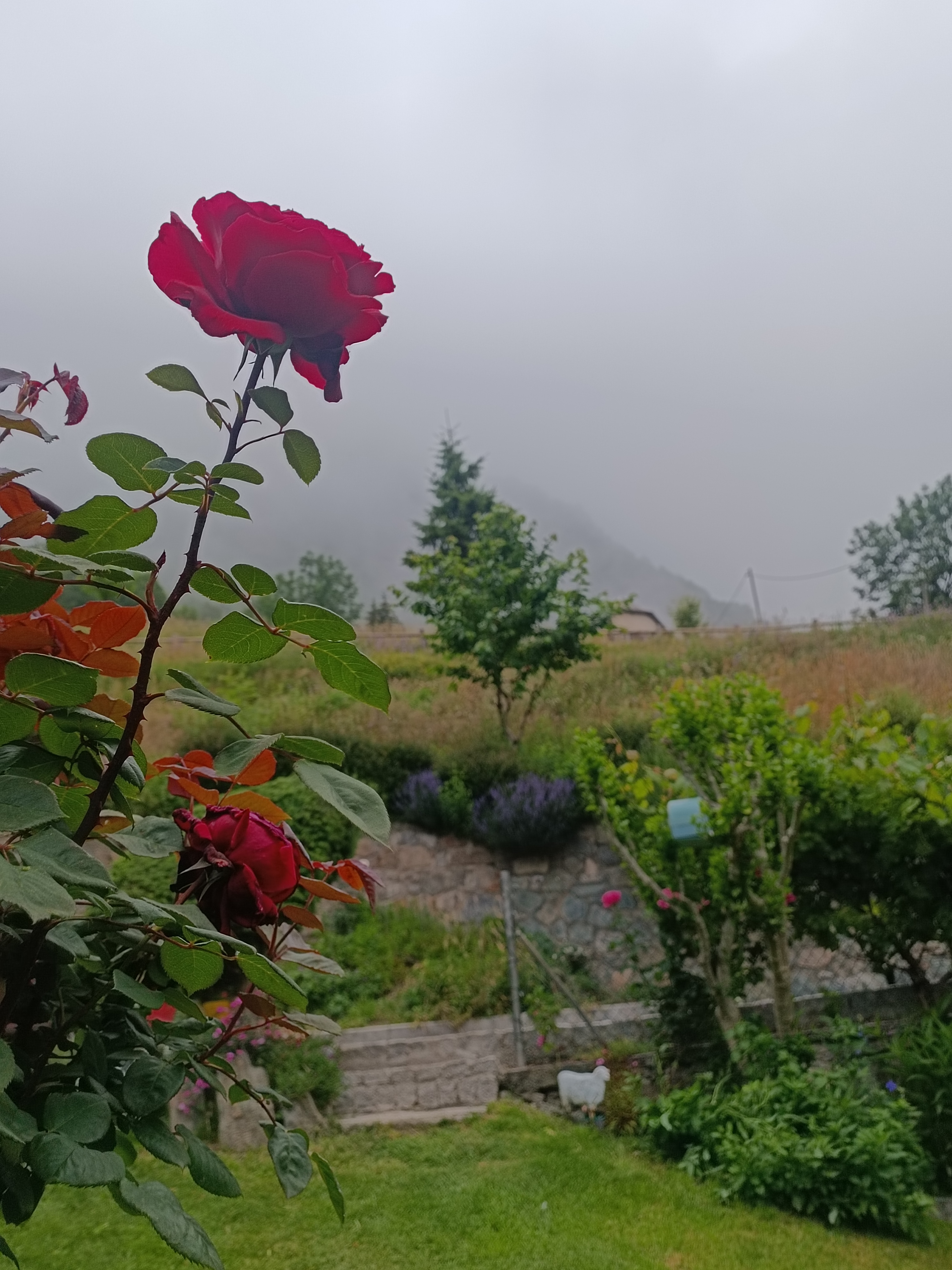Photo n° 11 de l'avis de Bergé.a fait le 18/08/2023 à 09:42