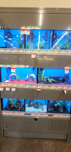 Pet Supply Store «Pet Supplies Plus», reviews and photos, 720 Hoosick Rd, Troy, NY 12180, USA