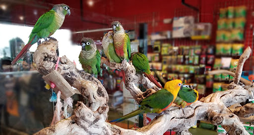 Pet Store «All Pets Club», reviews and photos, 1167 N Colony Rd, Wallingford, CT 06492, USA