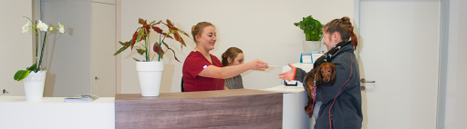 Dr. med. vet. Boris Sülzle unter Nortorf, 