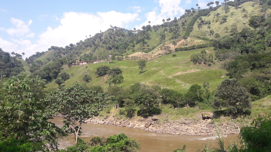Tienda Quezera La Mona