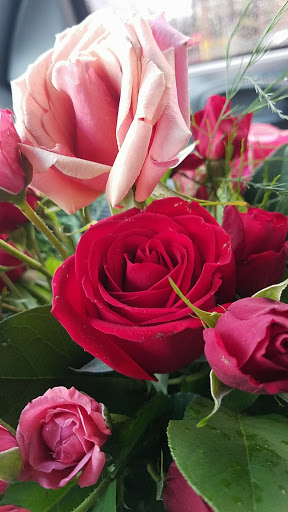 Florist «Yesterday Florists & Gifts», reviews and photos, 2548 Lapeer Rd #1, Auburn Hills, MI 48326, USA