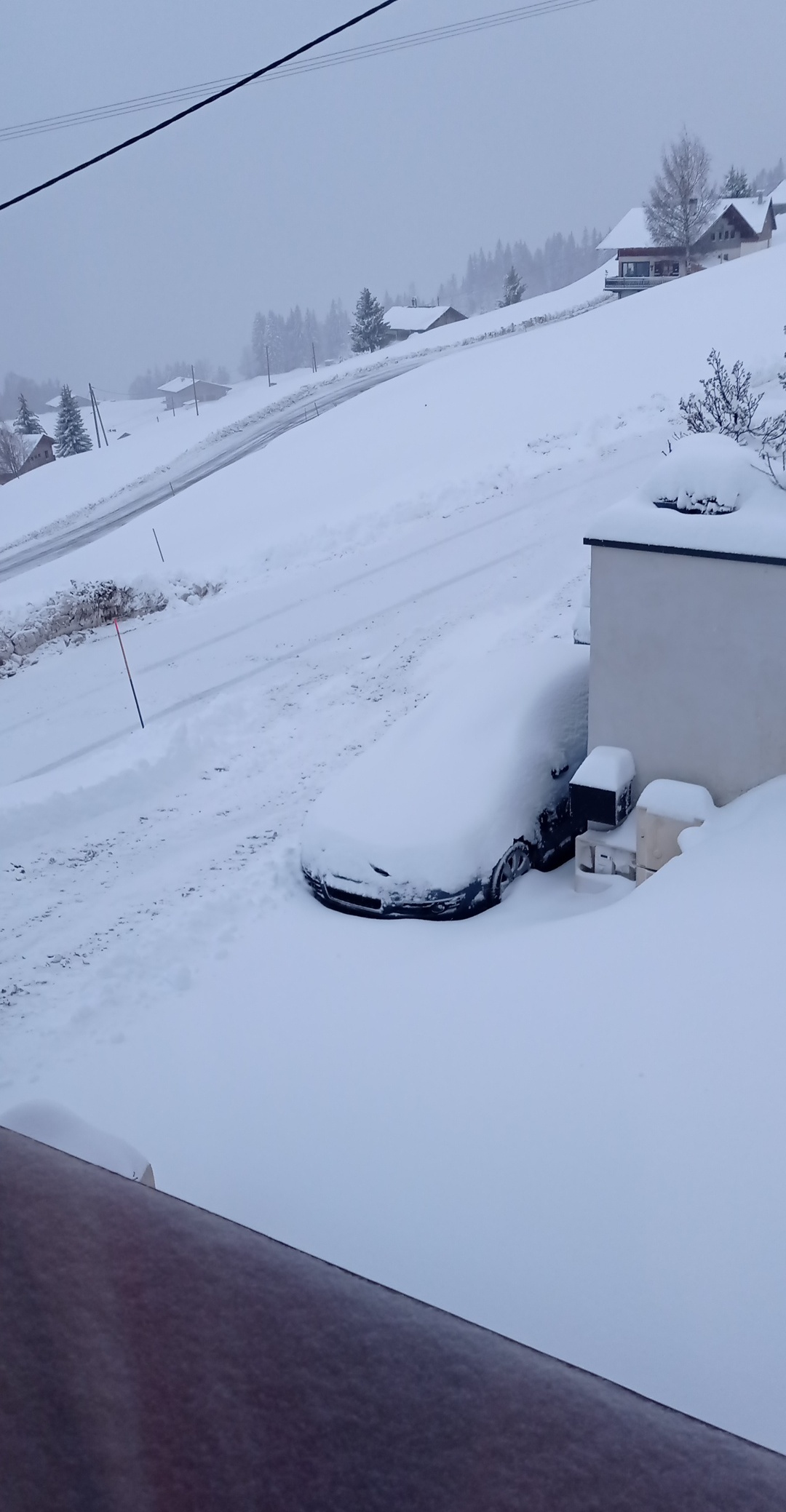 Photo n° 8 de l'avis de Laetitia.e fait le 30/03/2021 à 10:33