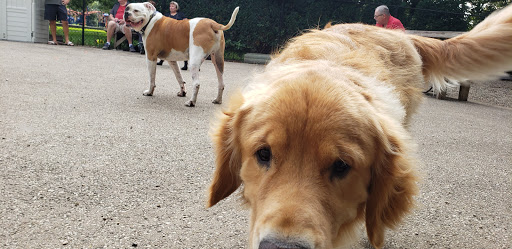 Dog Park «Norwood Park Dog Friendly Area», reviews and photos, 5850 N Avondale Ave, Chicago, IL 60631, USA