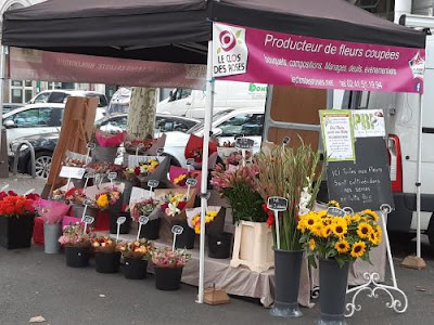 les roses saumuroises à Tours