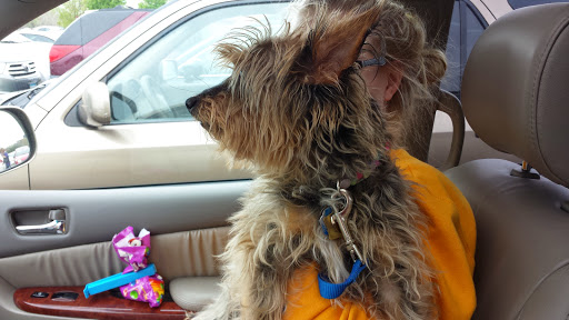 Pet Supply Store «PetSmart», reviews and photos, 5640 Cedar Lake Rd, Minneapolis, MN 55416, USA