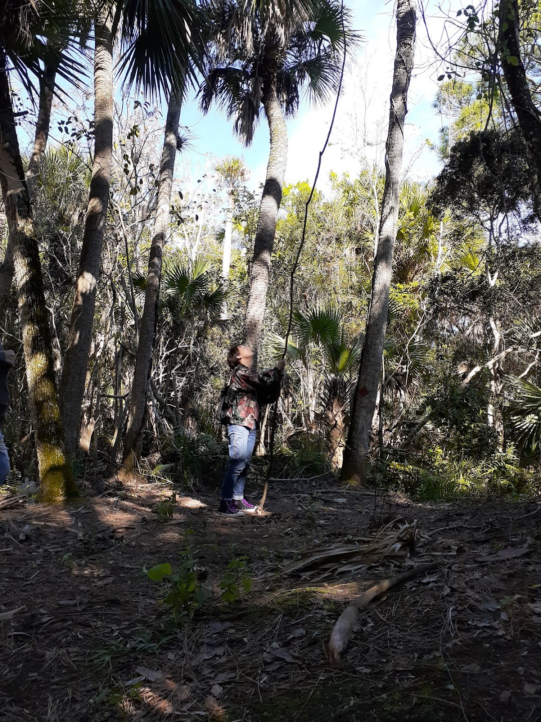 Citrus Hammock Preserve