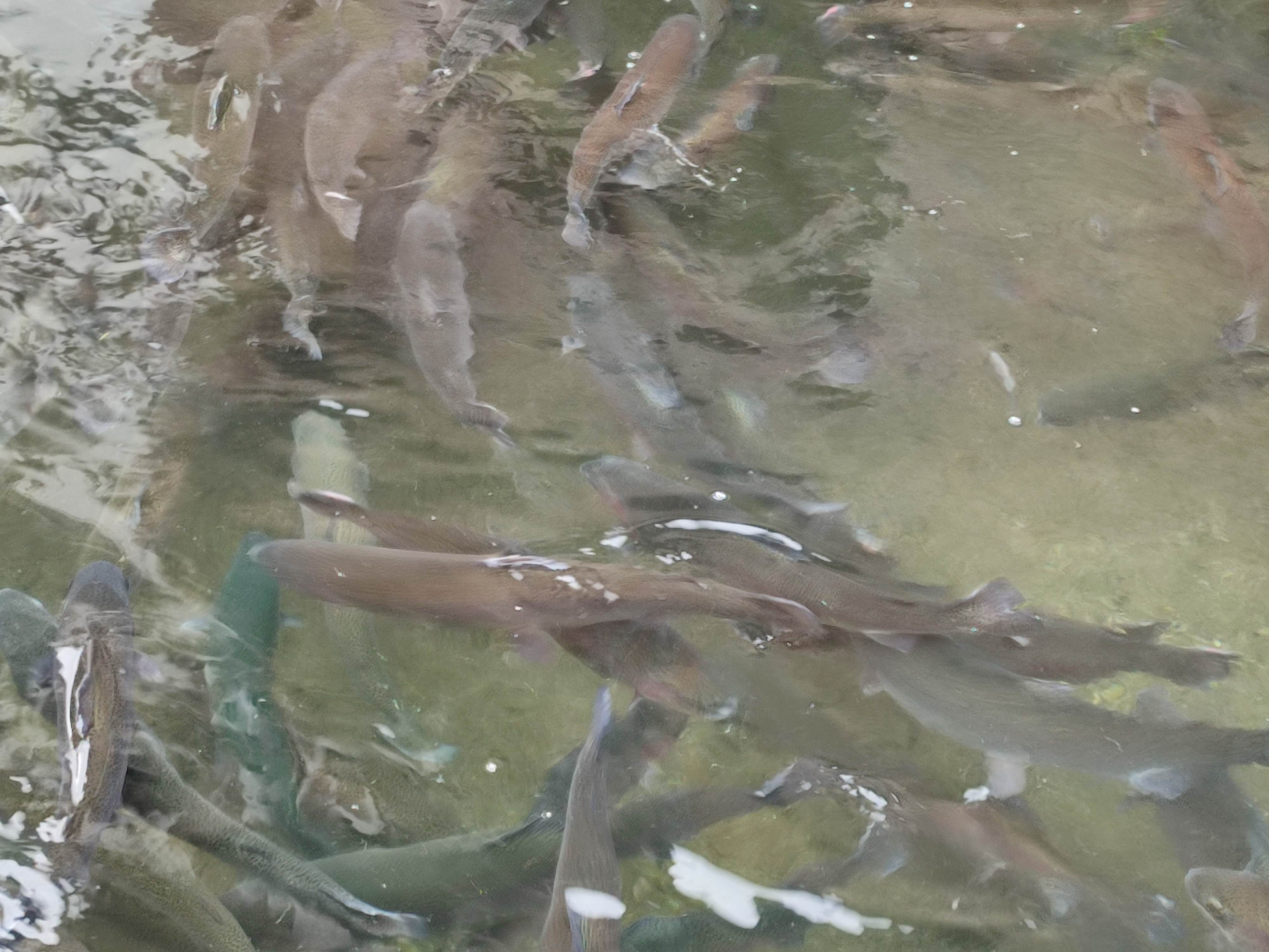 Photo n° 2 de l'avis de Yvonne.i fait le 07/01/2023 à 07:23