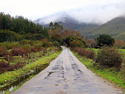 Inicio Ruta a Parque Nahuelbuta (32.5 km)