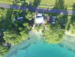 Photo de Turtle Bay Beach - endroit populaire parmi les connaisseurs de la détente