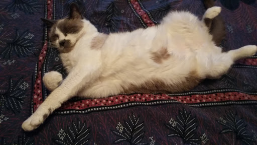 Pet Store «The Pet Works», reviews and photos, 240 14th St, Astoria, OR 97103, USA