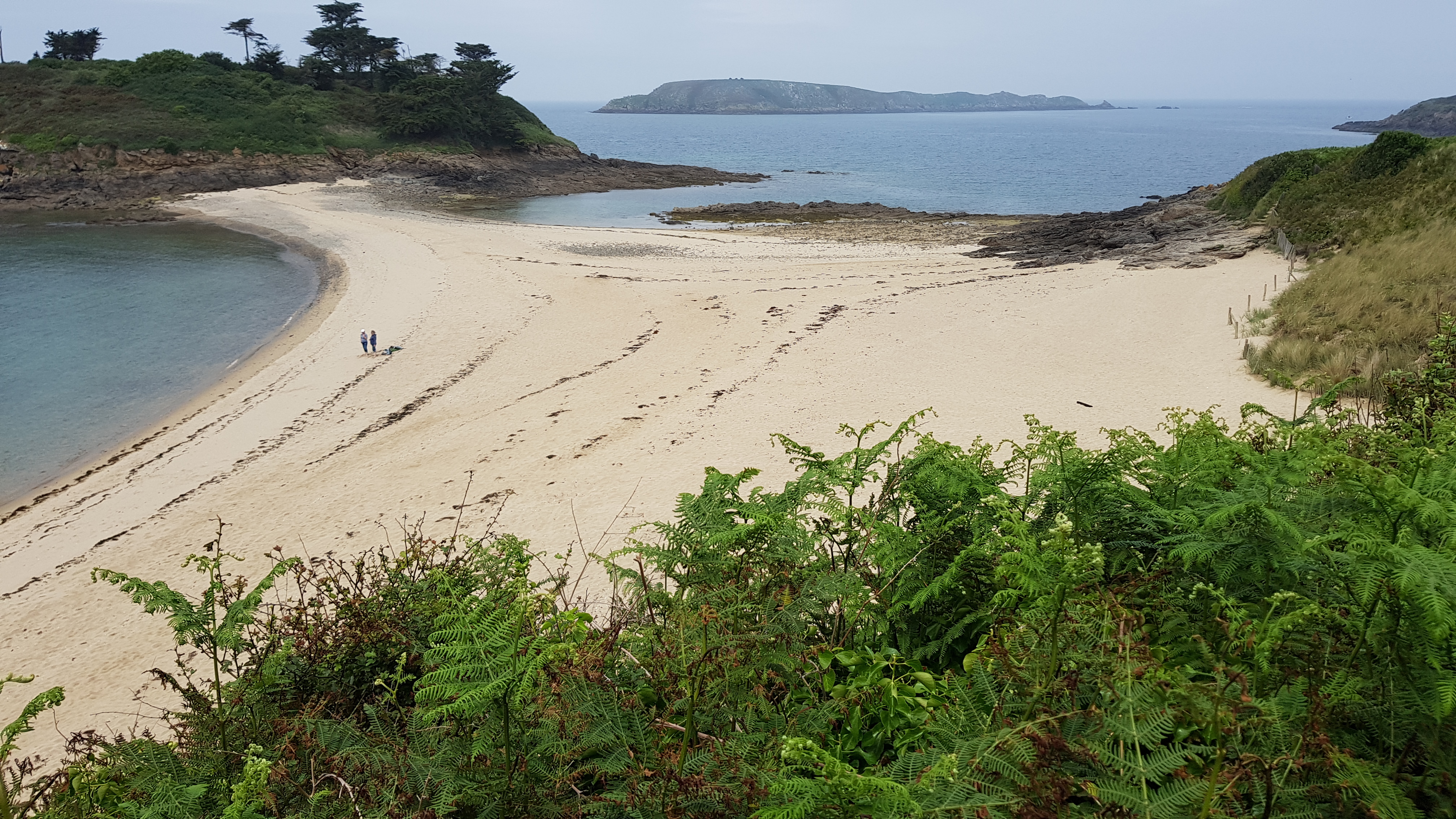 Photo n° 1 de l'avis de mathieu.a fait le 25/06/2019 à 20:04