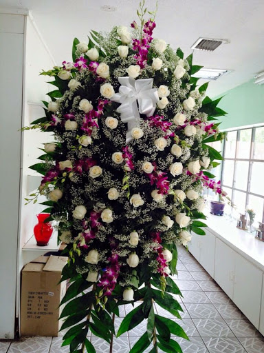 Florist «Primavera Florist Pedro», reviews and photos, 5510 W Flagler St, Coral Gables, FL 33134, USA