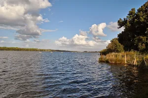 Lago di Sabàudia image