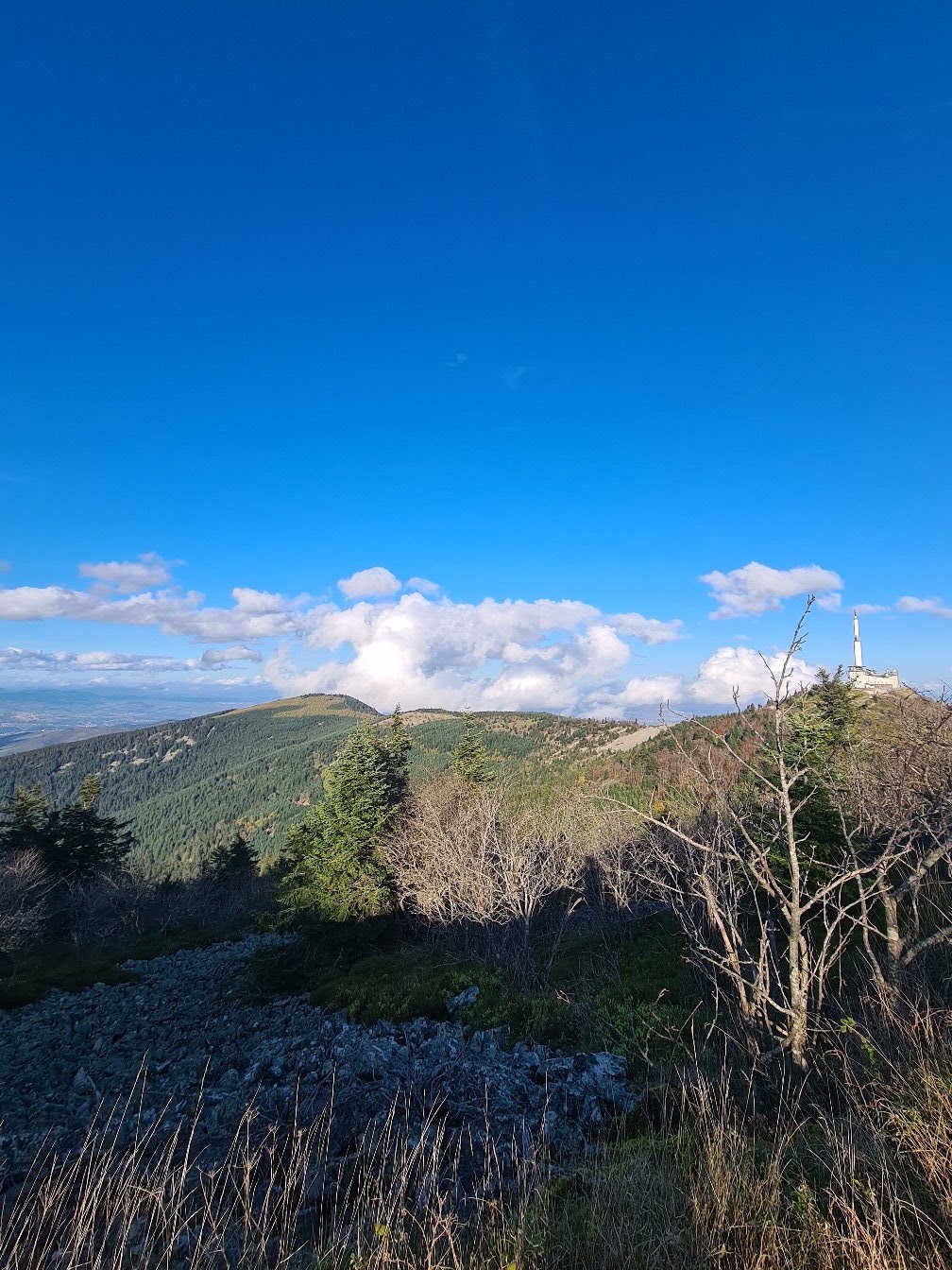 Photo n° 12 de l'avis de V-W.- fait le 19/11/2022 à 13:41