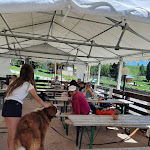 Photo n°1 de l'avis de Cristiana.e fait le 15/06/2021 à 18:32 sur le  Rifugio Viote à Trento