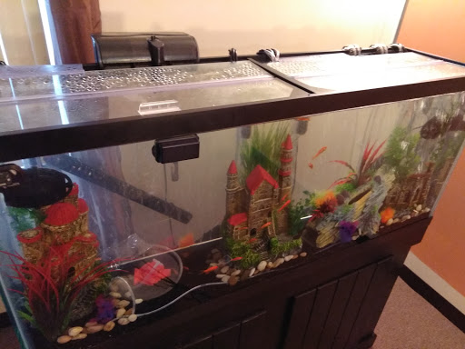 Pet Supply Store «Pet Supplies Plus», reviews and photos, 1213 Mentor Ave, Painesville, OH 44077, USA