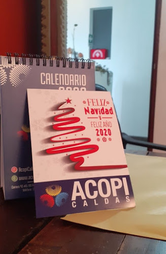 Conjunto Palmas de chipre, Cl. 12A # 13A-75, Manizales, Caldas