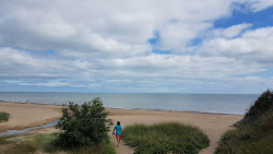 Ballymoney Beach'in fotoğrafı vahşi alan