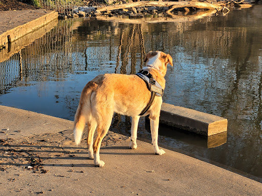 White Rock Lake Park