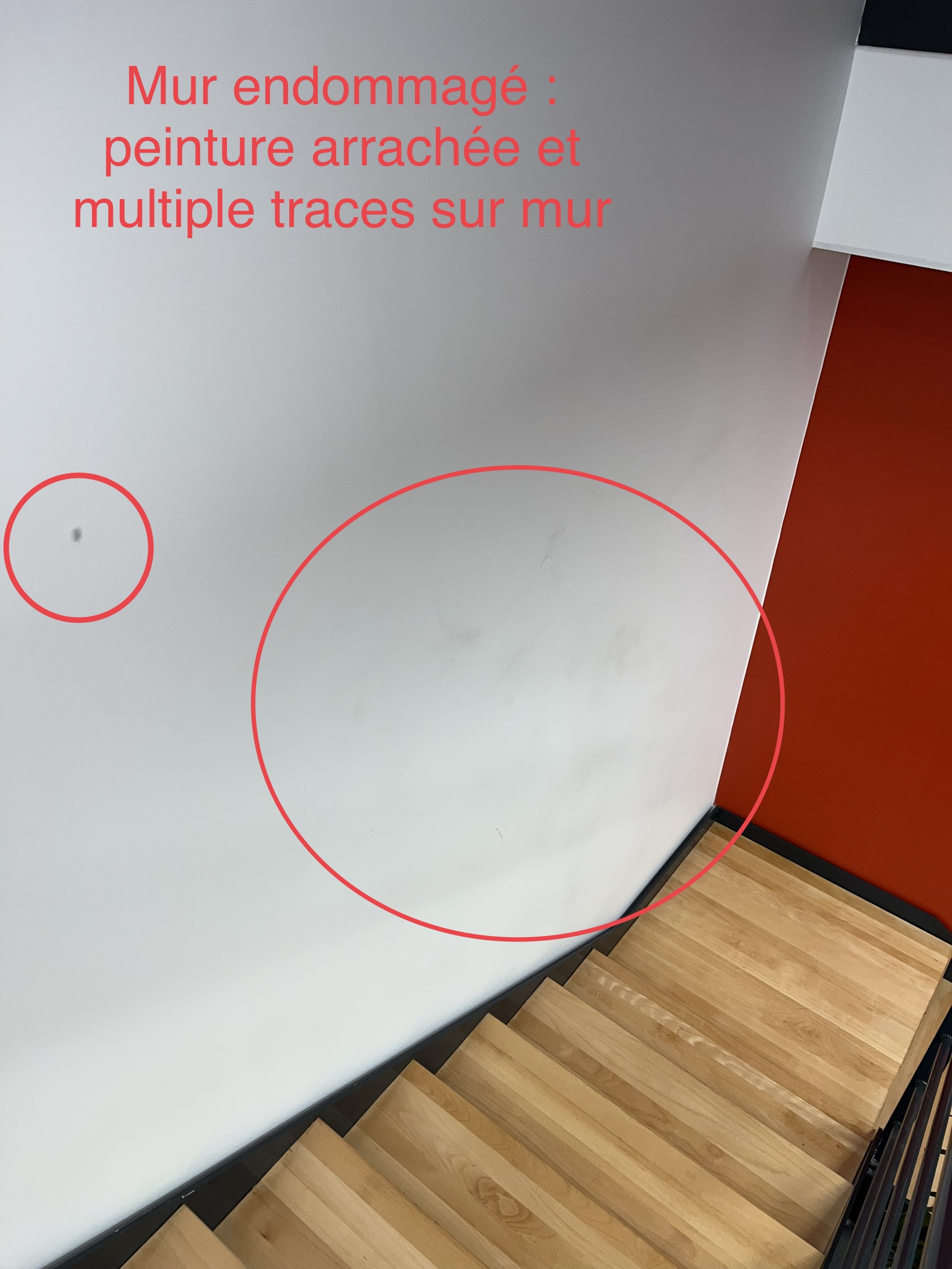 Photo n° 10 de l'avis de Paze.� fait le 23/12/2023 à 12:12