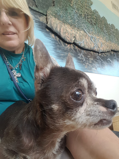 Pamlico Animal Hospital