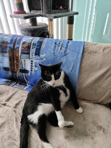 Pet Supply Store «PetSmart», reviews and photos, 4550 W Lake Mary Blvd, Lake Mary, FL 32746, USA