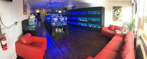 Tropical Fish Store «Aquarium Artisans», reviews and photos, 8005 Plainfield Rd #11, Cincinnati, OH 45236, USA