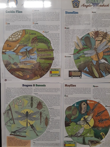 Museum «Clouds Hill Victorian Museum», reviews and photos, 4157 Post Rd, Warwick, RI 02886, USA