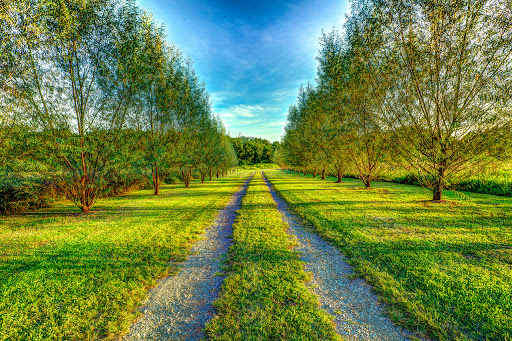 Wedding Venue «Cheval Manor Ranch», reviews and photos, 7052 W Gum Rd, Murfreesboro, TN 37127, USA