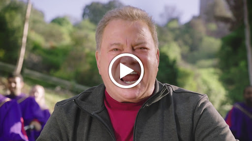 Bicycle Store «Pedego Electric Bikes Scottsdale», reviews and photos, 6945 E 5th Ave, Scottsdale, AZ 85251, USA