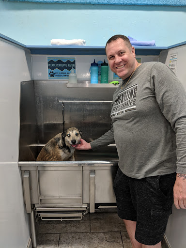 Pet Supply Store «Brookside Barkery & Bath», reviews and photos, 118 W 63rd St, Kansas City, MO 64113, USA