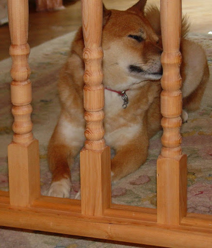 Safety Equipment Supplier «Gates2U», reviews and photos, 114 Hobbs St, Greensboro, MD 21639, USA