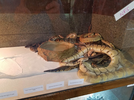 Pet Store «Zookeeper Exotics», reviews and photos, 9012 Research Blvd, Austin, TX 78758, USA