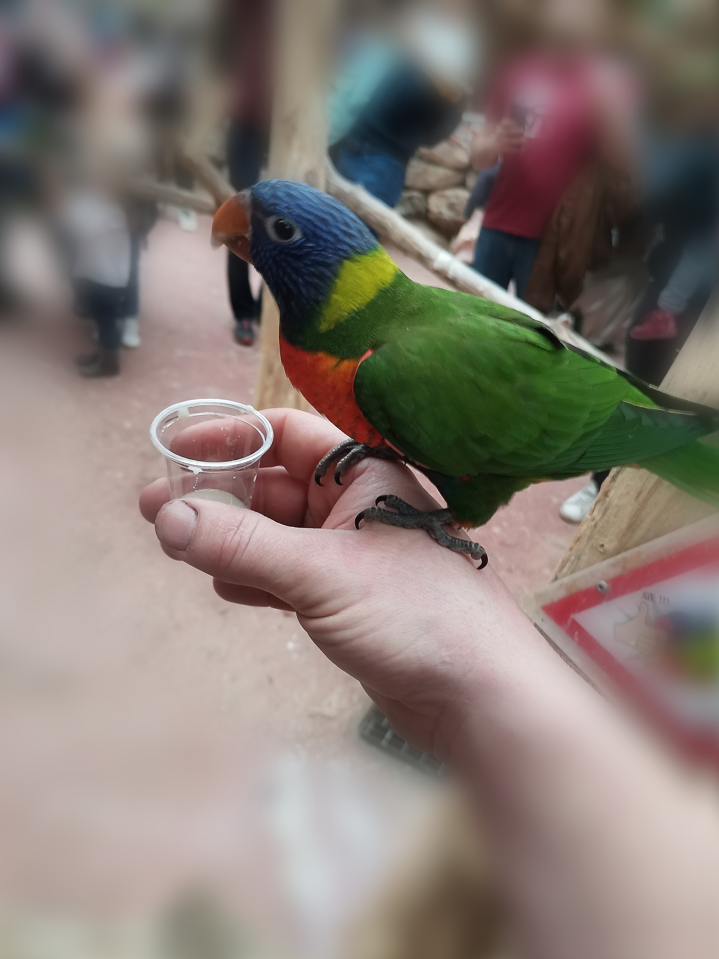Photo n° 1 de l'avis de kevin.a fait le 18/02/2024 à 20:49