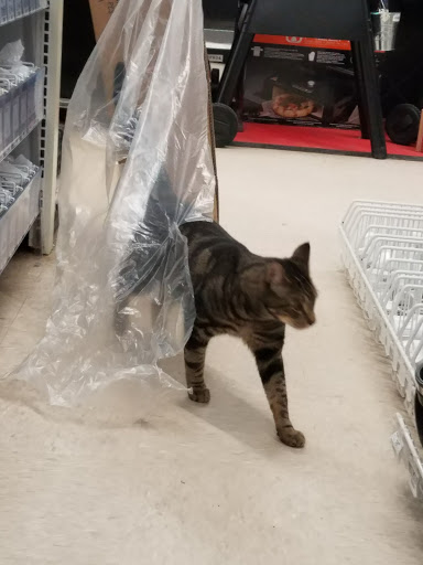 Hardware Store «Ace Hardware of Woodbury», reviews and photos, 690 Main St S, Woodbury, CT 06798, USA