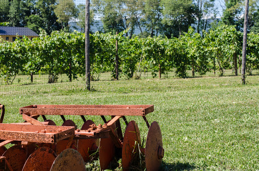 Winery «Christopher Jacobs Winery at Pennings Vineyards (Seasonally Open May-Oct)», reviews and photos, 320 Crawford St, Pine Bush, NY 12566, USA