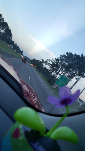 Small Engine Repair Service «LKQ Gulf Coast», reviews and photos, 16925 Black Mud Rd, Livingston, LA 70754, USA