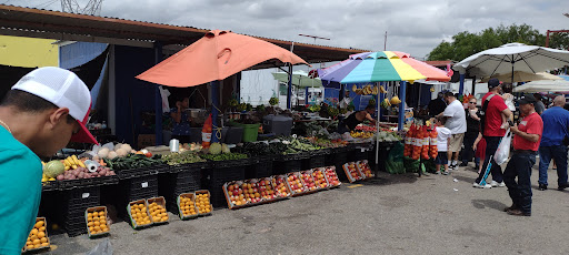 Flea Market «The Mission Market Open Air Market», reviews and photos, 207 W Chavaneaux Rd, San Antonio, TX 78221, USA