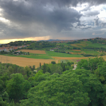 Photo n°1 de l'avis de Ronny.i fait le 26/06/2023 à 12:55 sur le  Trattoria al Giardino da Giamburesti à Mondavio