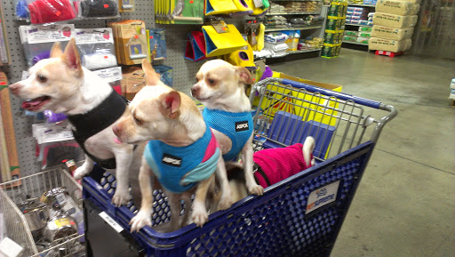 Pet Supply Store «Pet Supreme», reviews and photos, 12823 Foothill Blvd, Sylmar, CA 91342, USA