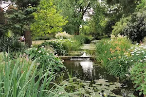Gooderstone Water Gardens & Nature Trail - Official Site image