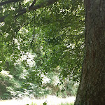 Photo n°1 de l'avis de mohan.i fait le 29/06/2022 à 13:13 sur le  Acquacheta Valtancoli ristorante albergo à San Benedetto In Alpe