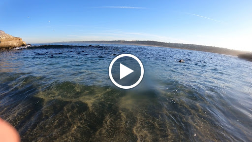 Sporting Goods Store «La Jolla Swim and Sport», reviews and photos, 1008 Torrey Pines Rd, La Jolla, CA 92037, USA