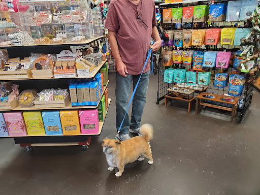 Pet Store «Island Dog», reviews and photos, 410 Mallery St, Saint Simons Island, GA 31522, USA