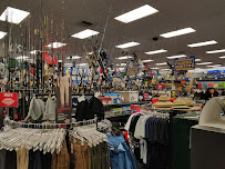 Big 5 Sporting Goods - Photo 6 - Car repair in La Quinta, CA, Indio