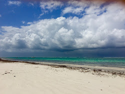 Trade Winds Beach'in fotoğrafı ve yerleşim