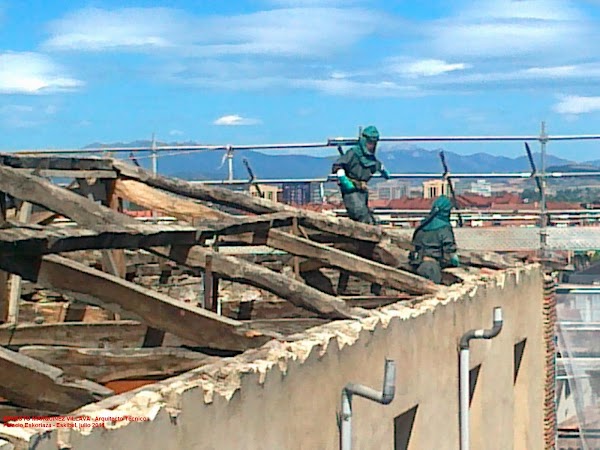 Desinfecciones Hormigas Verdes