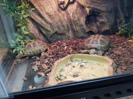 Pet Store «Petland», reviews and photos, 920 Hebron Rd, Heath, OH 43056, USA